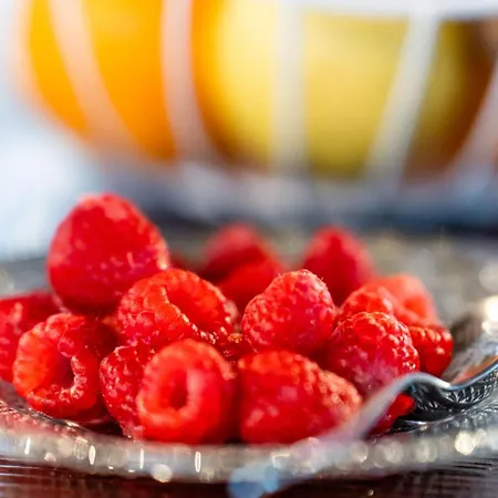 Accademia Vine Capriva del Friuli