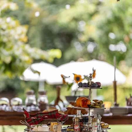 Accademia Vine بيت ريفي *