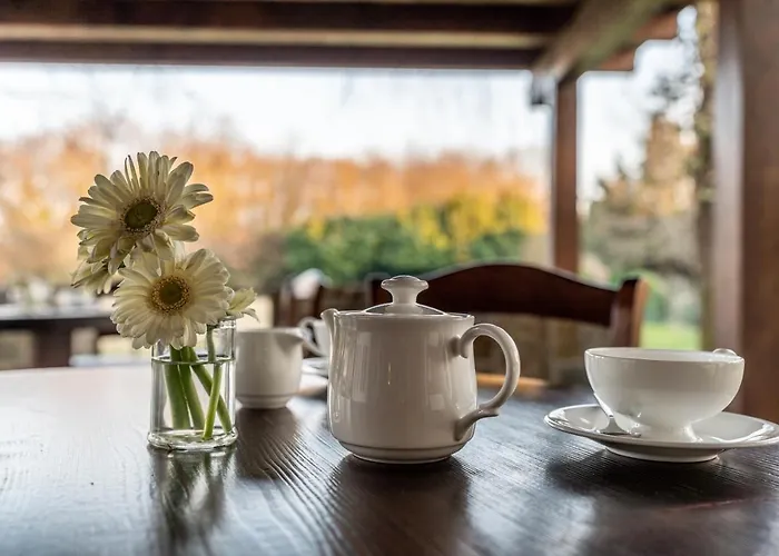 Accademia Vine Han/Misafirhane *