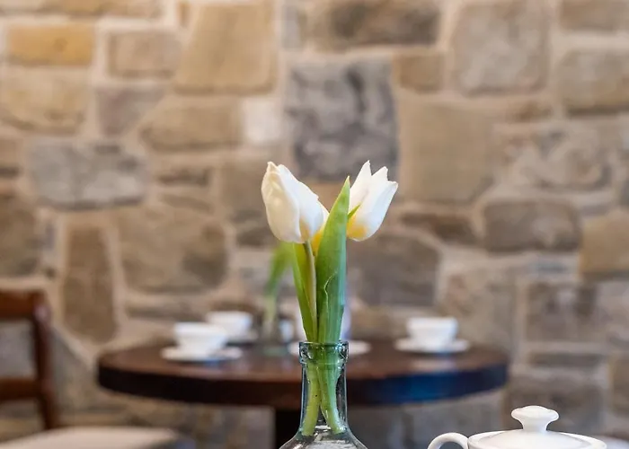 Πανδοχείο Accademia Vine Capriva del Friuli