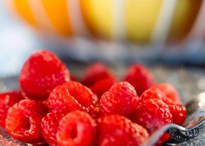 Accademia Vine Capriva del Friuli