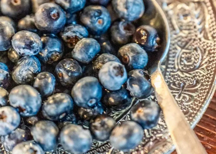 Accademia Vine Πανδοχείο