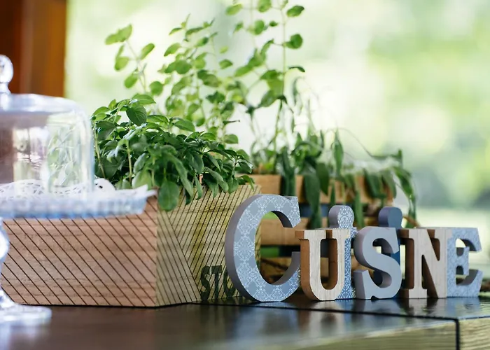 Accademia Vine Πανδοχείο *