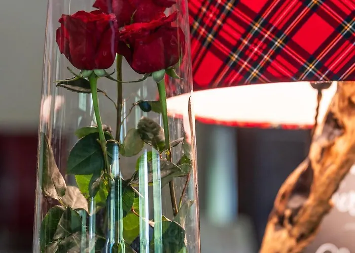 Accademia Vine * Capriva del Friuli