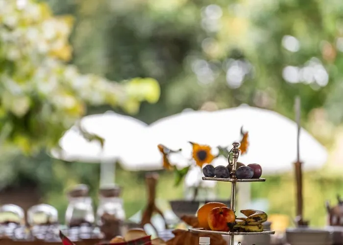 Accademia Vine Πανδοχείο *